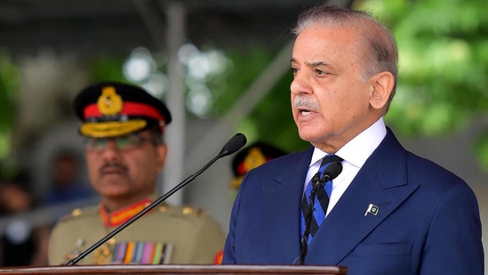 Pakistan reacts to Rajnath Singh's nuclear statement: ‘IAEA should...’